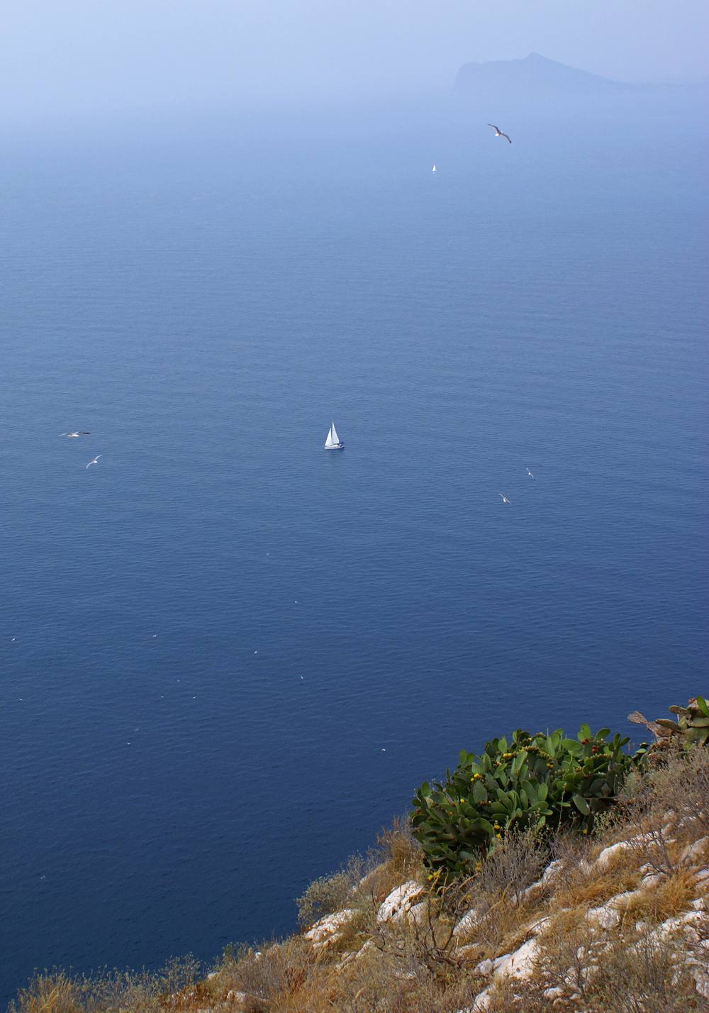Barca a vela nel Mediterraneo